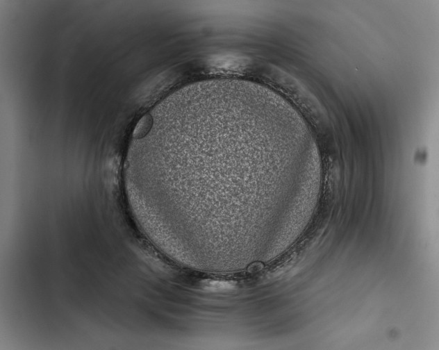 X0000102480649200808221708