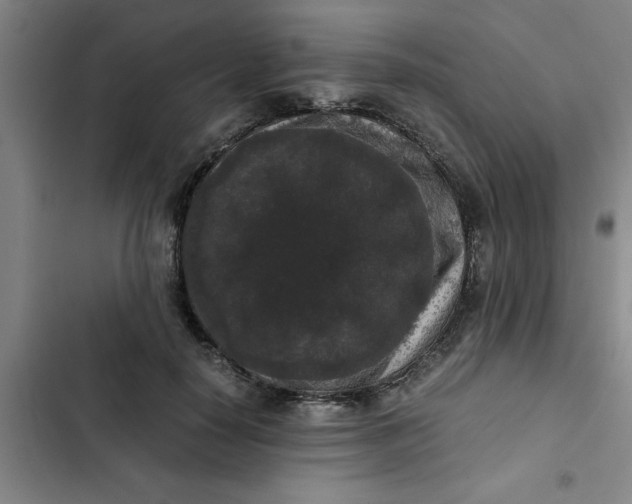 X0000102480650200808221708