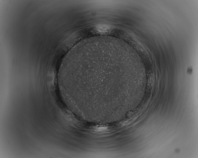 X0000102480651200808221708