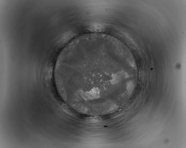 X0000102480652200808221708