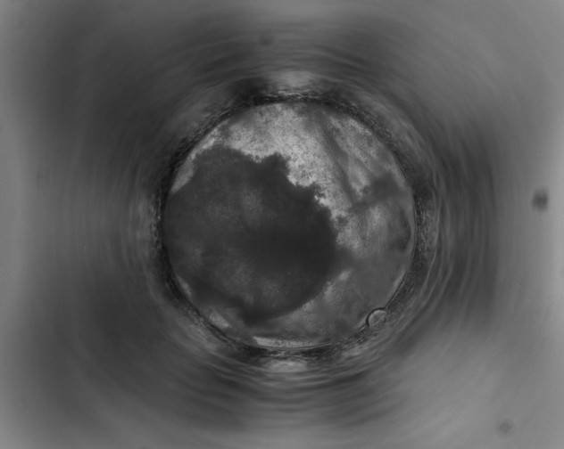 X0000102480653200808221708