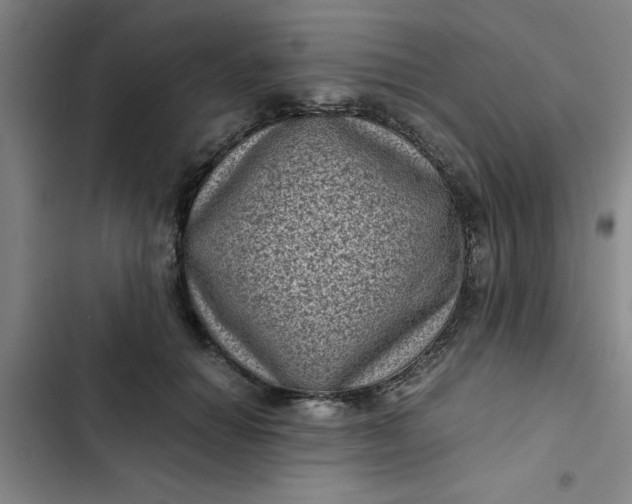 X0000102480654200808221708