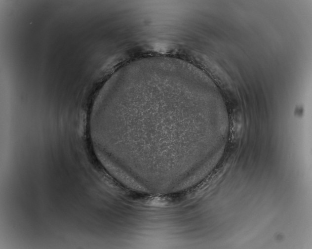 X0000102480656200808221708