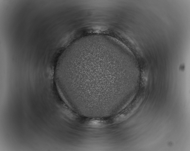 X0000102480657200808221708