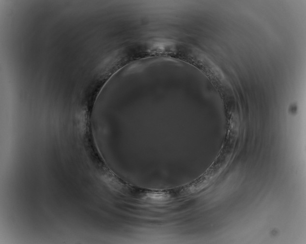 X0000102480659200808221708