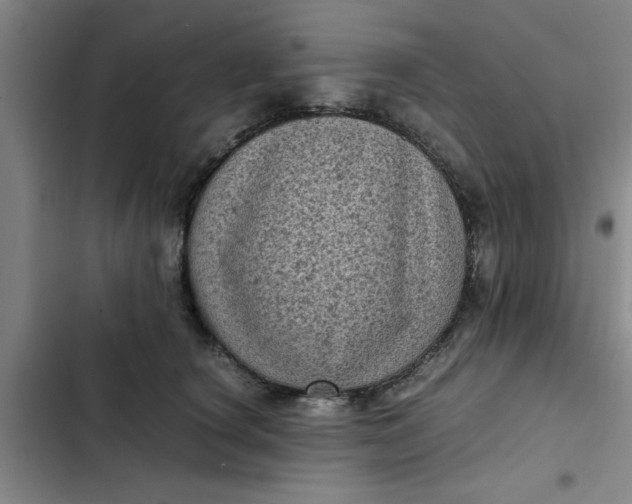 X0000102480660200808221708