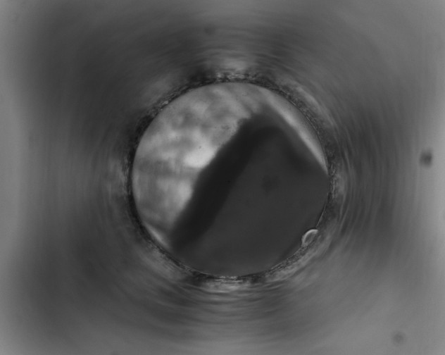 X0000102480661200808221708