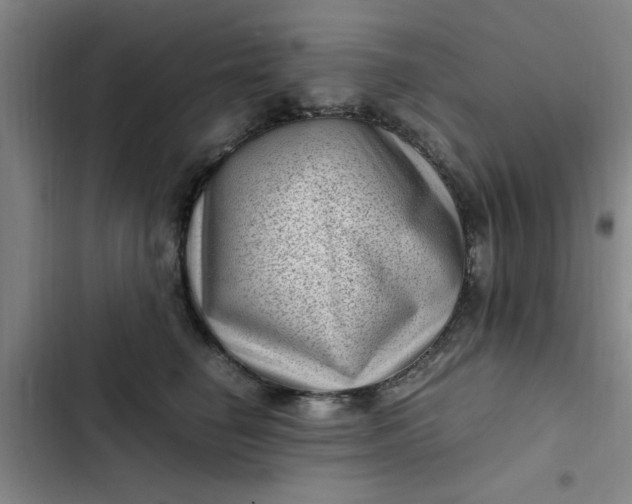 X0000102480662200808221708