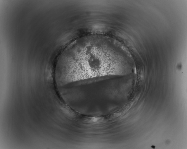 X0000102480663200808221708