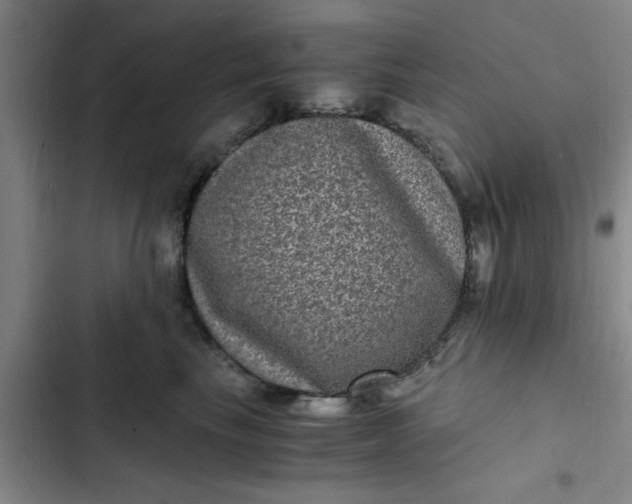 X0000102480665200808221708