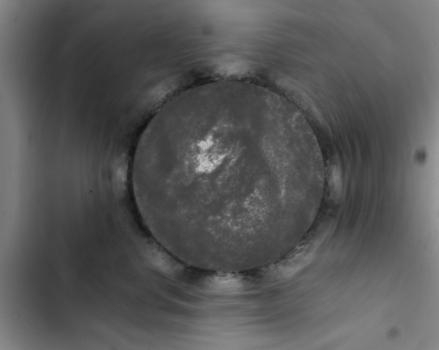 X0000102480668200808221708