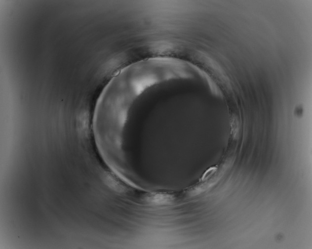 X0000102480670200808221708