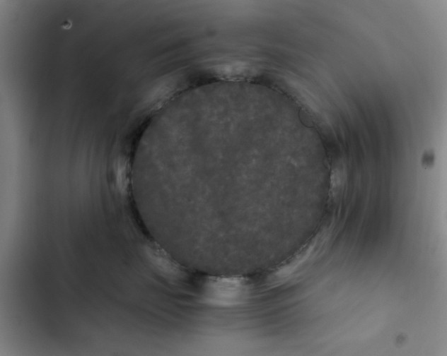 X0000102480671200808221708