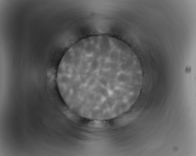 X0000102480672200808221708