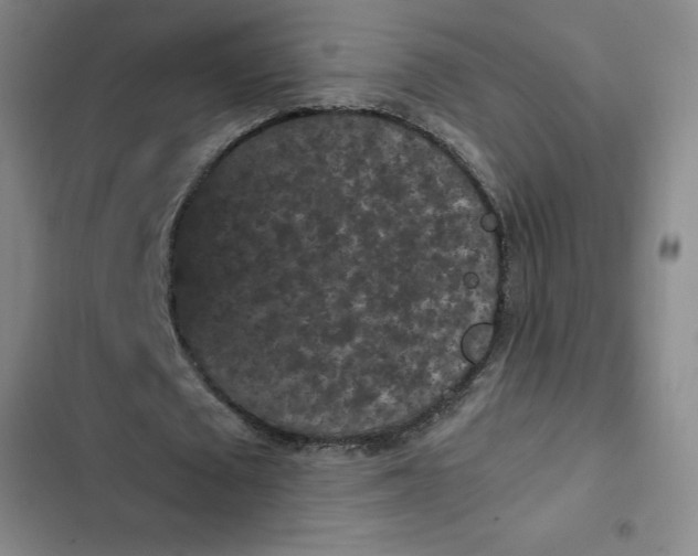 X0000102480673200808221708