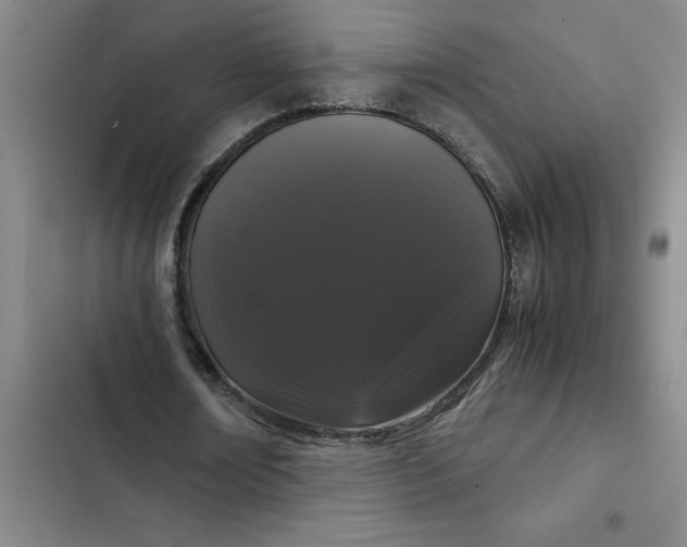 X0000102480674200808221707