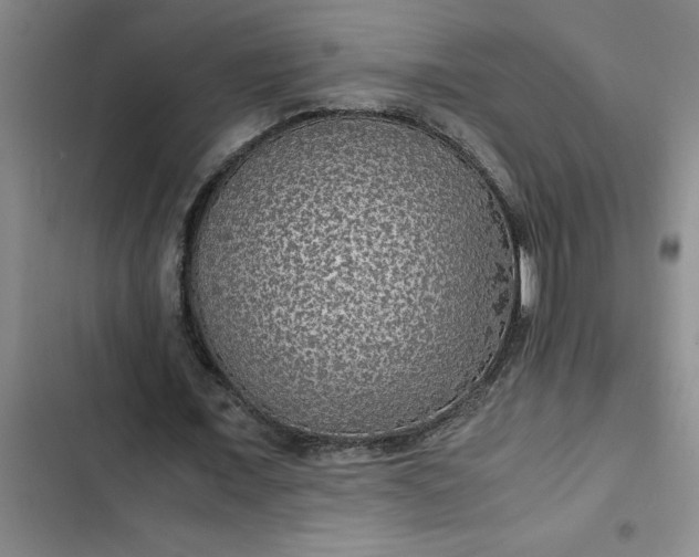 X0000102480675200808221707