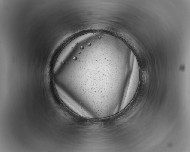 X0000102480676200808221707