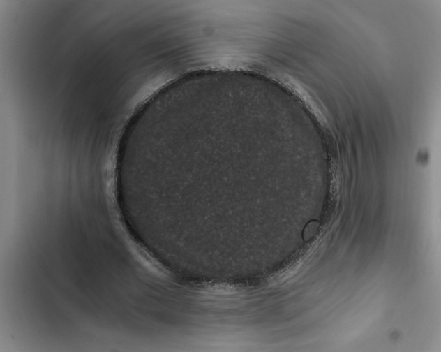 X0000102480677200808221707