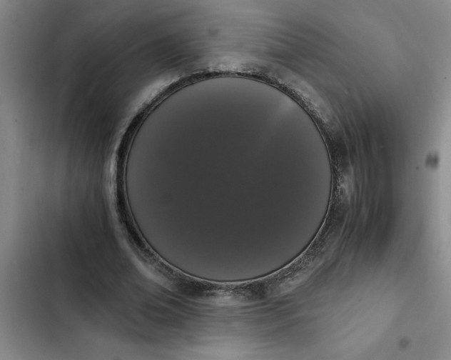 X0000102480678200808221707