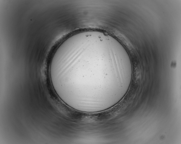 X0000102480680200808221707