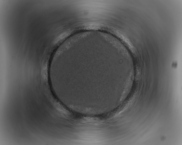 X0000102480681200808221707