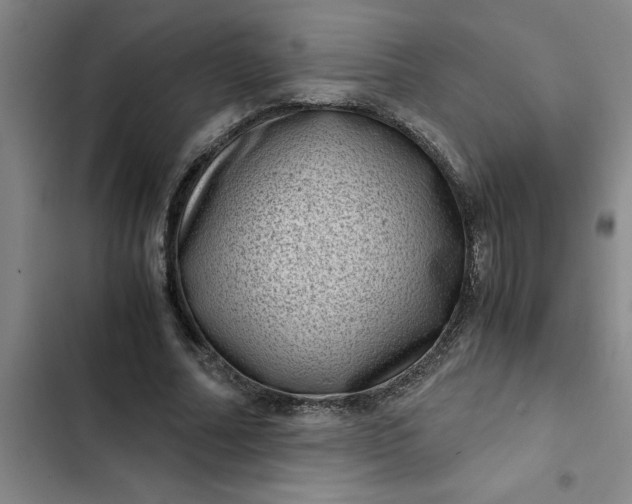 X0000102480682200808221707