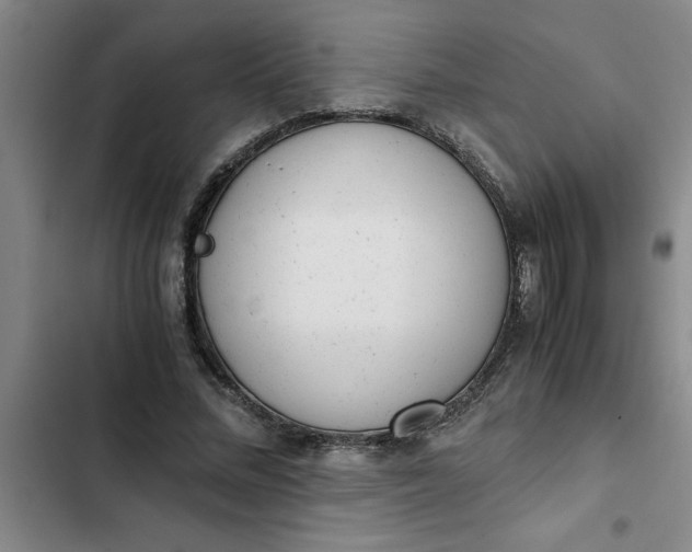 X0000102480684200808221707