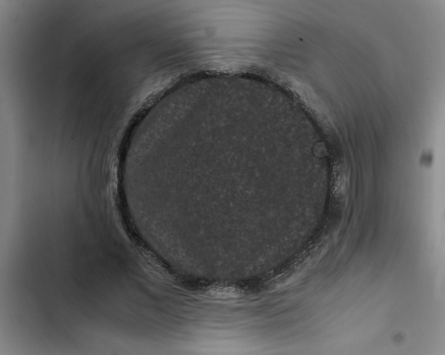 X0000102480685200808221707