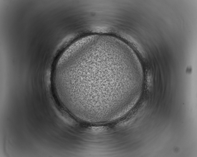 X0000102480686200808221707