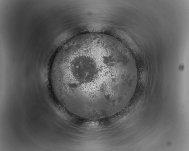 X0000102480687200808221707