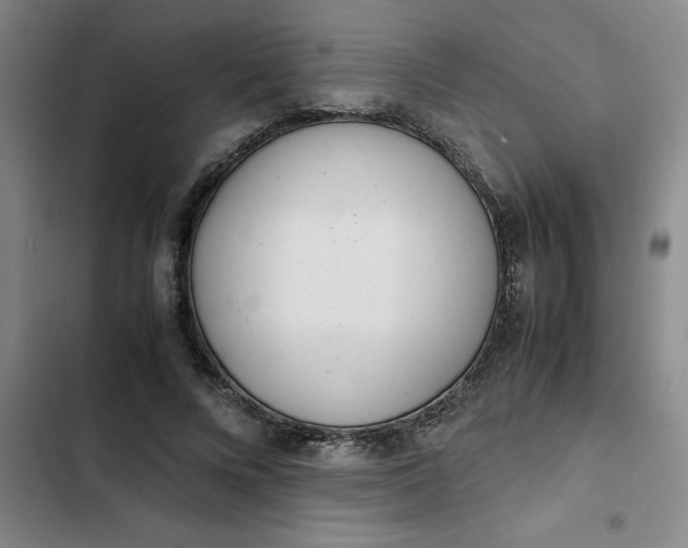 X0000102480688200808221707