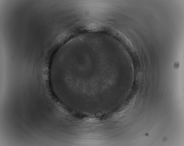 X0000102480689200808221707