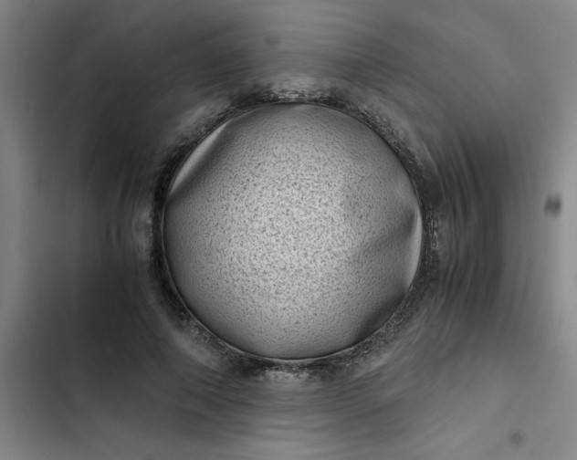 X0000102480690200808221707