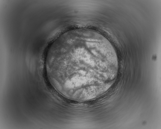 X0000102480691200808221707