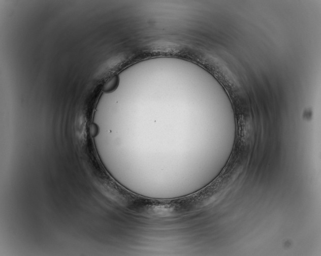 X0000102480692200808221707