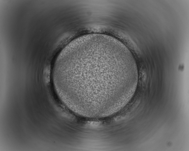 X0000102480694200808221707