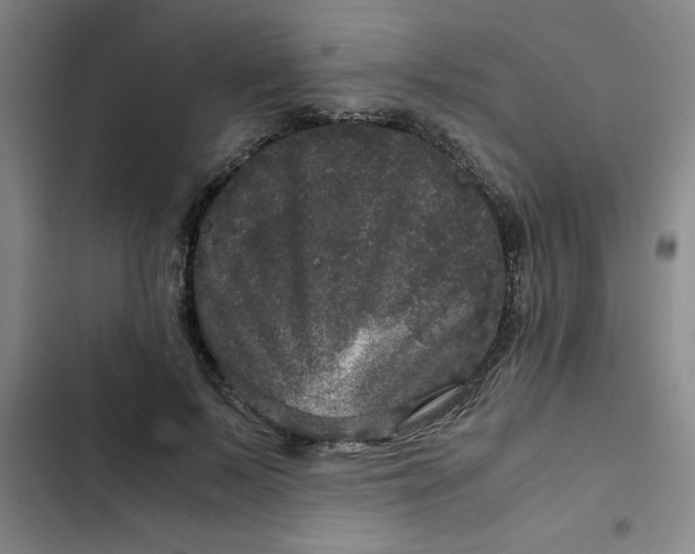 X0000102480695200808221707