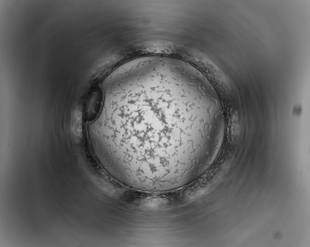 X0000102480696200808221707