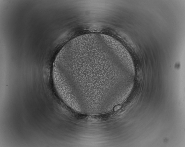 X0000102480697200808221707