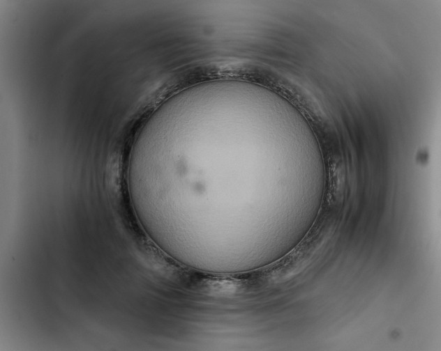 X0000102480698200808221707