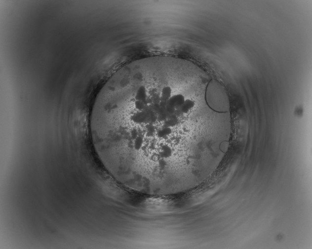 X0000102480699200808221707