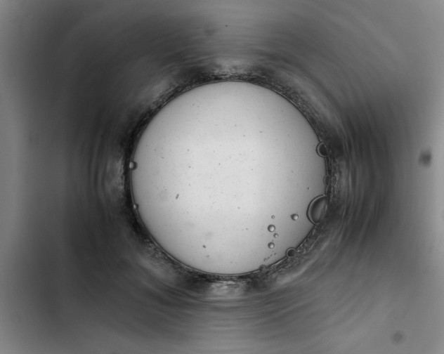 X0000102480700200808221707