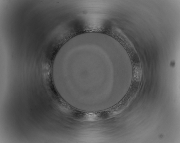 X0000102480701200808221707