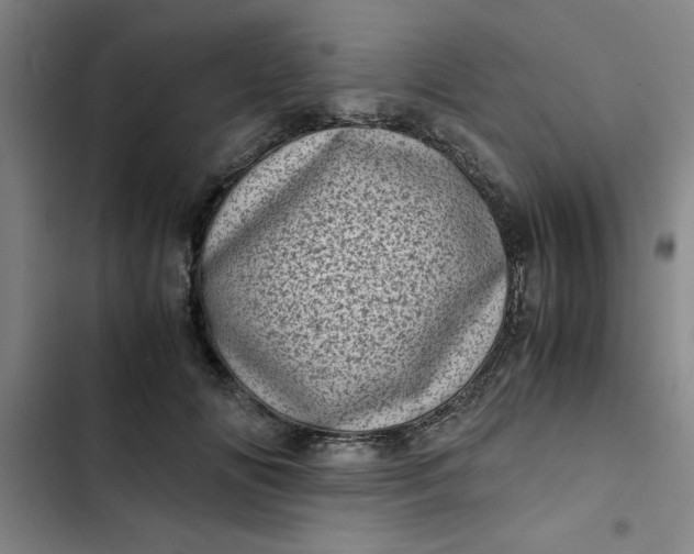 X0000102480702200808221707