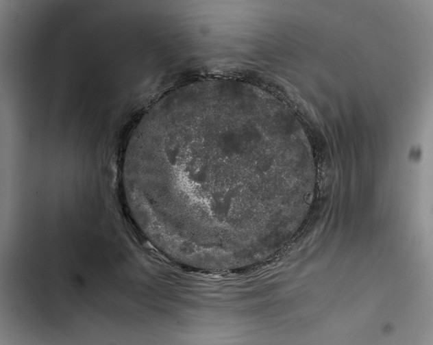 X0000102480703200808221707