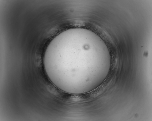 X0000102480704200808221707