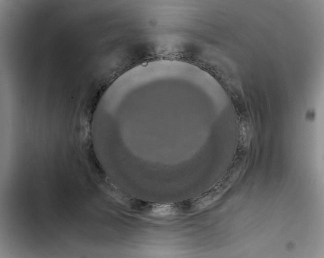 X0000102480705200808221707