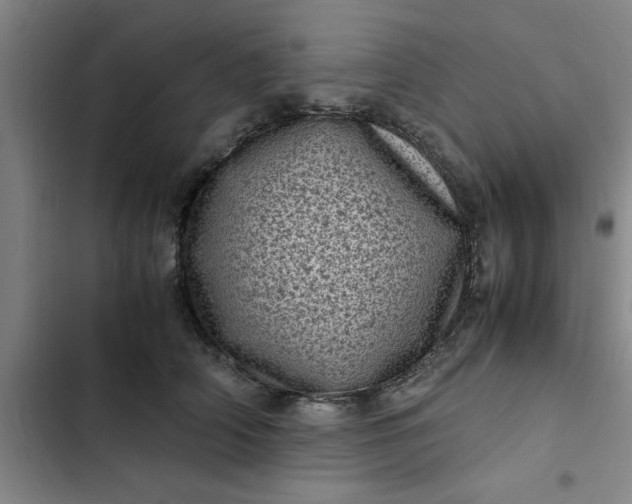 X0000102480706200808221707