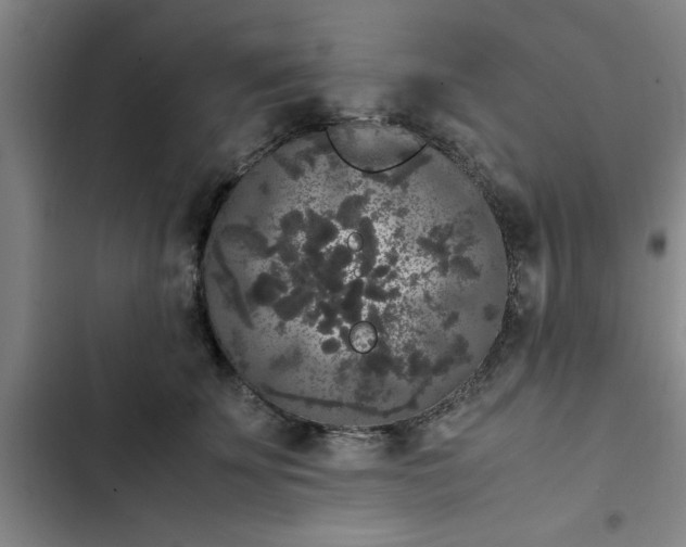 X0000102480707200808221707